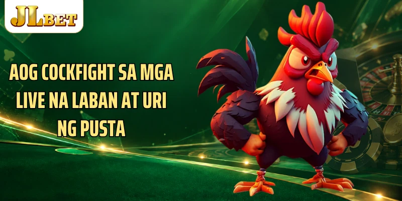 AOG Cockfight Sa Mga Live Na Laban At Uri Ng Pusta