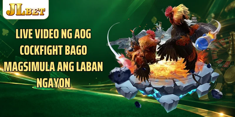 Live video ng AOG Cockfight bago magsimula ang laban ngayon